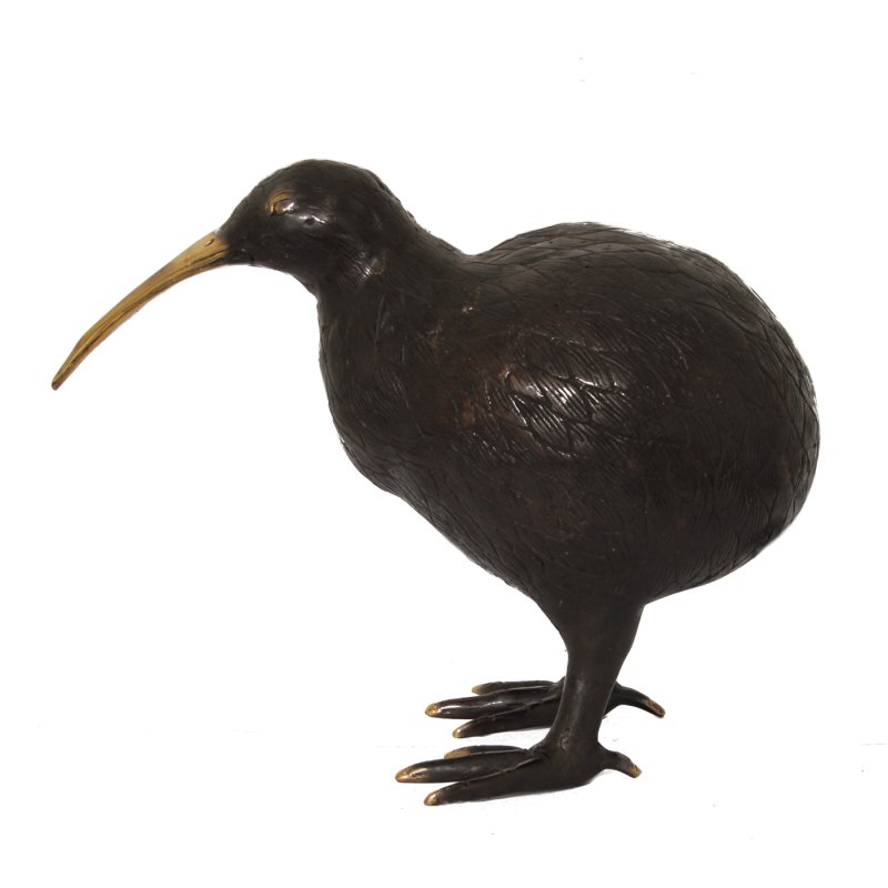 H28 Kiwi Bird M