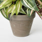 Tradescantia Artificial Hanging Plant in Stan Flower Pot - H45 x Ø25 cm - Green