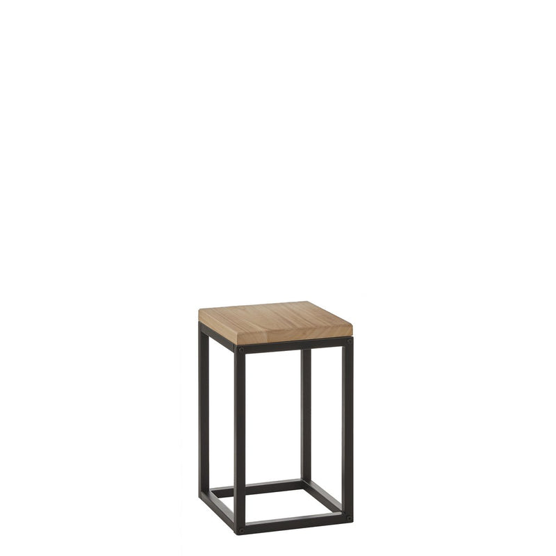 Oskar Plant table - L25 x W25 x H42 cm - Wood, Metal - Black