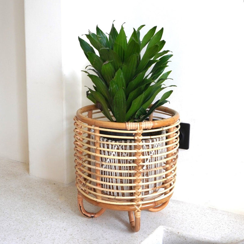 Rattan Plant Stand Planter Flower Pot Holder MALANG beige