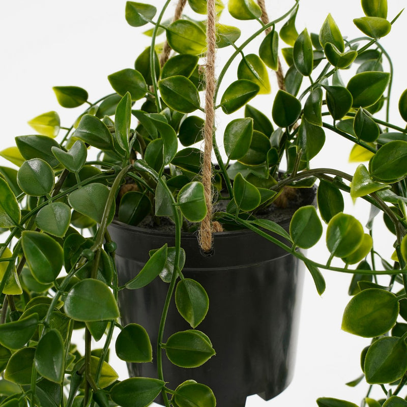 Kunst Ficus Hangplant in Pot - H46 x Ø20 cm - Groen