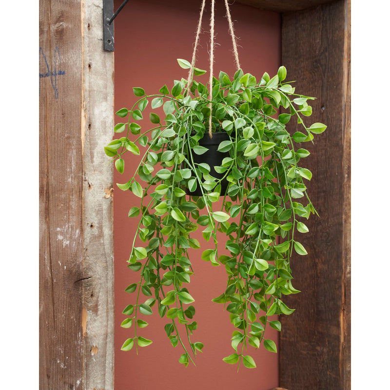 Ficus Artificial Hanging Plant - H81 cm - Green