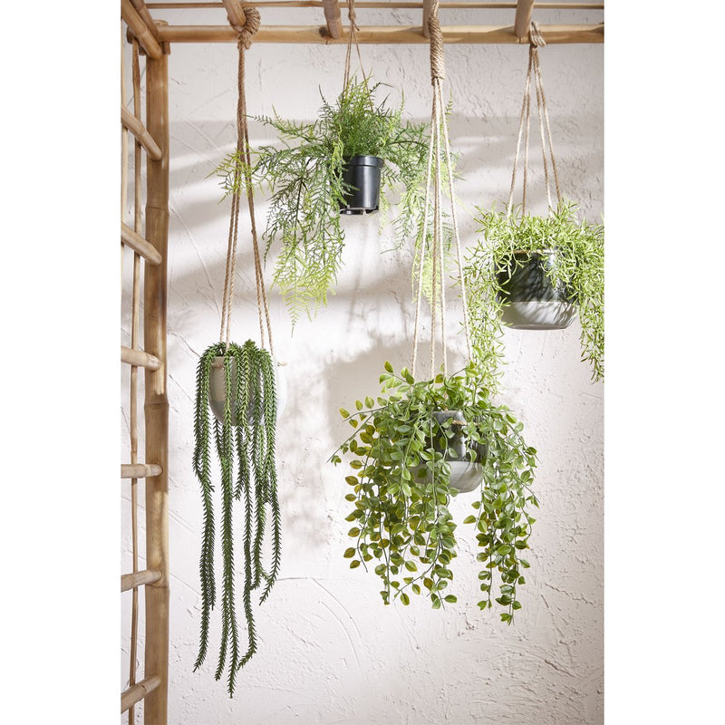 Artificial Ficus Hanging Plant in Pot - H46 x Ø20 cm - Green