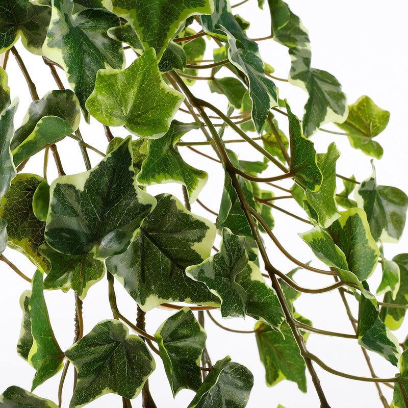 Hedera Artificial Hanging Plant - H129 cm - Green Variegated