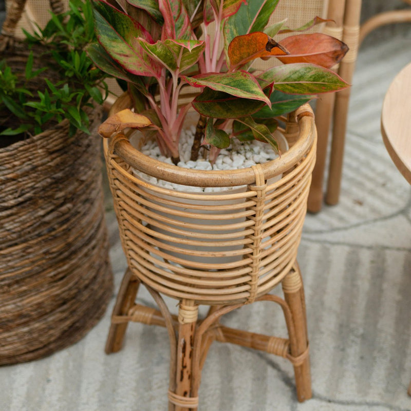 Plant Stand | Flower Stand | Flower Pot Holder AKARA made of Rattan