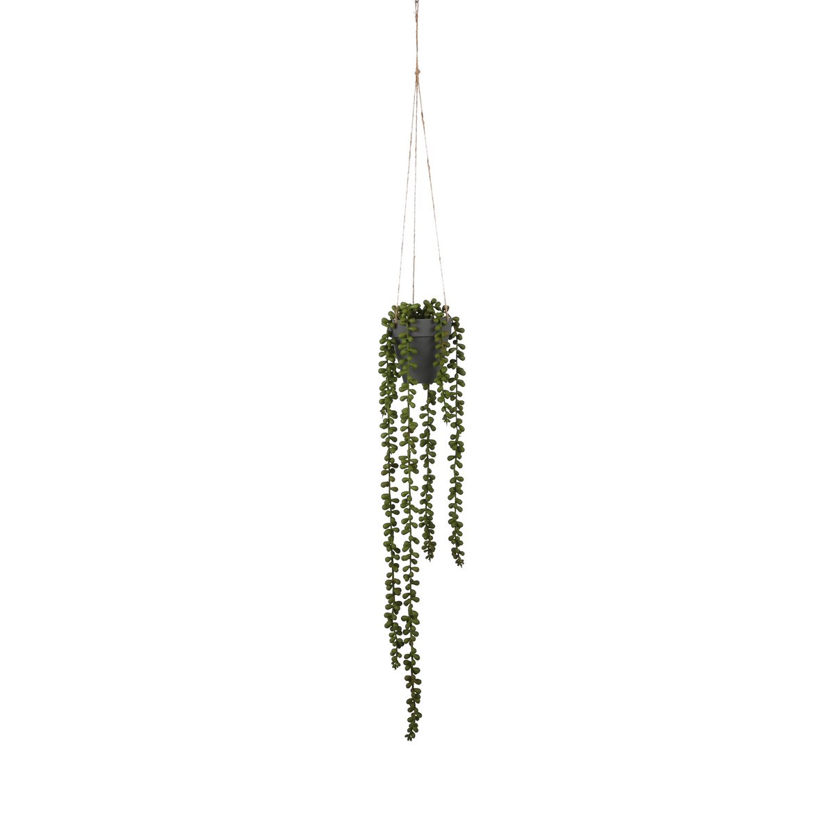 Senecio Artificial Hanging Plant - H56 x Ø9 cm - Green