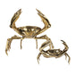 H19 Crab L