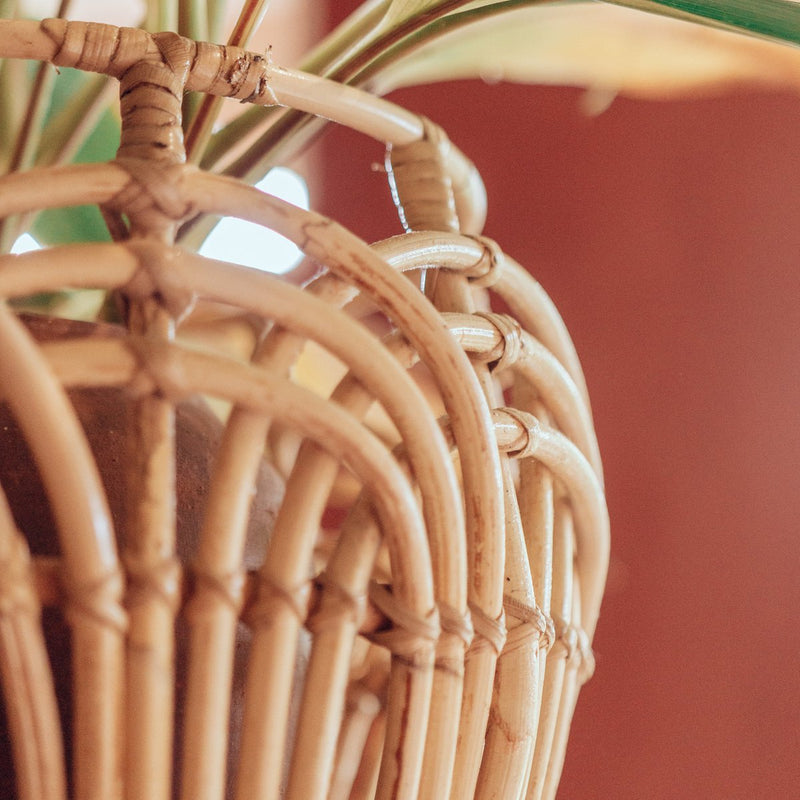 Plant Basket | Laundry Basket | Storage Basket RAHINA made from Rattan (3 sizes)