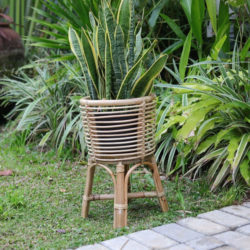 Plant Stand | Flower Stand | Flower Pot Holder AKARA made of Rattan