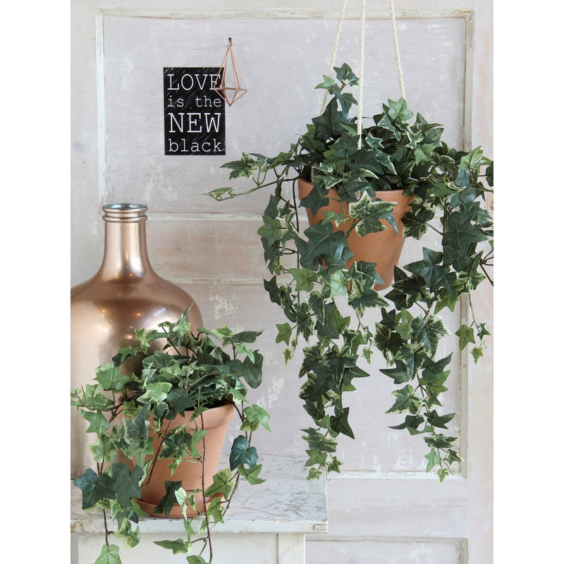 Hedera Artificial Hanging Plant - H129 cm - Green Variegated