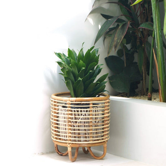 Rotan plantenstandaard plantenbak bloempot houder MALANG beige