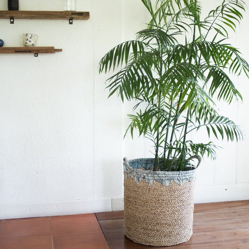 Laundry Basket NIAS | Plant Basket | Large Storage Basket made from Seagrass (2 sizes)